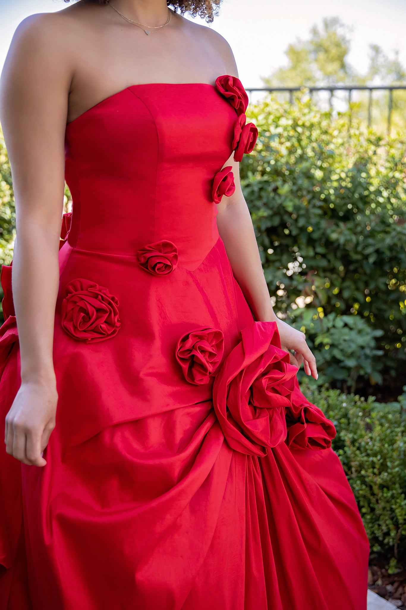 Stock Scarlet Rose - Image 3